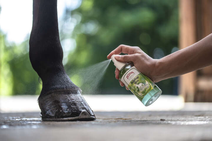 ZEDAN Hufpflege Spray 275 ml